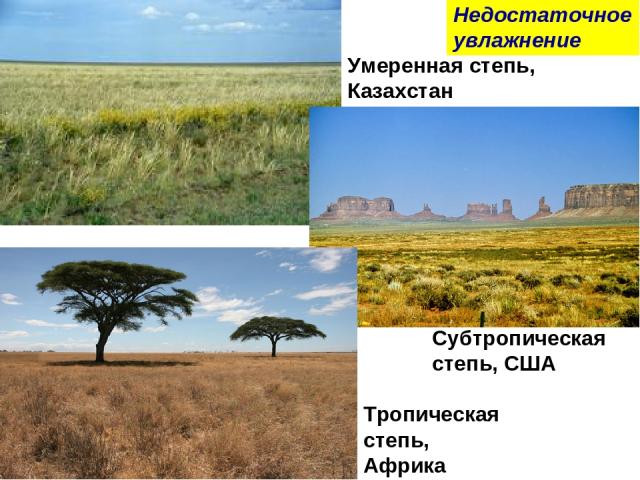 Умеренная степь, Казахстан Субтропическая степь, США Тропическая степь, Африка Недостаточноеувлажнение