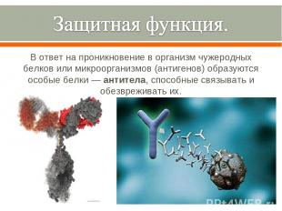 В ответ на проникновение в организм чужеродных белков или микроорганизмов (антиг