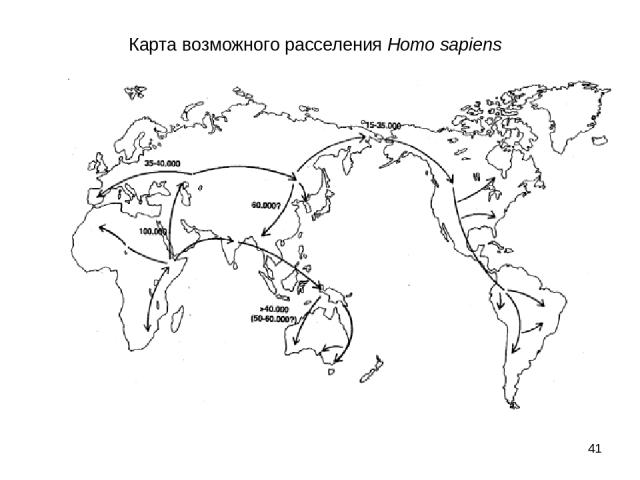 * Карта возможного расселения Homo sapiens