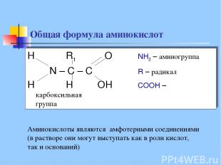 Общая формула аминокислот H R1 O NH2 – аминогруппа N – C – C R – радикал H H OH