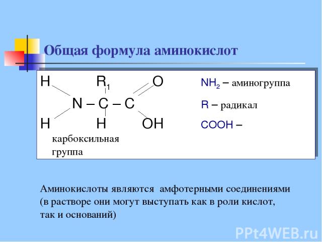 Общая формула аминокислот H R1 O NH2 – аминогруппа N – C – C R – радикал H H OH COOH – карбоксильная группа Аминокислоты являются амфотерными соединениями (в растворе они могут выступать как в роли кислот, так и оснований)