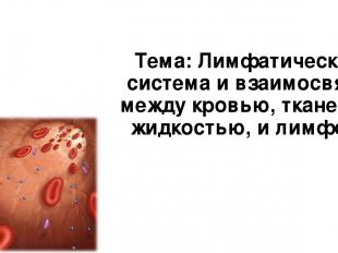 Тема: Лимфатическая система и взаимосвязь между кровью, тканевой жидкостью, и ли