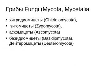 Грибы Fungi (Mycota, Mycetalia хитридиомицеты (Chitridiomycota), зигомицеты (Zyg