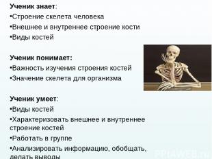 Ученик знает: Строение скелета человека Внешнее и внутреннее строение кости Виды