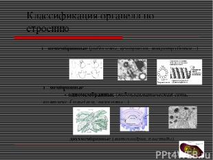 Классификация органелл по строению ● немембранные (рибосомы, центриоли, микротру