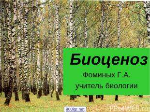 Биоценоз Фоминых Г.А. учитель биологии 900igr.net