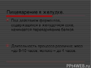 Пищеварение в желудке. Под действием ферментов, содержащихся в желудочном соке,