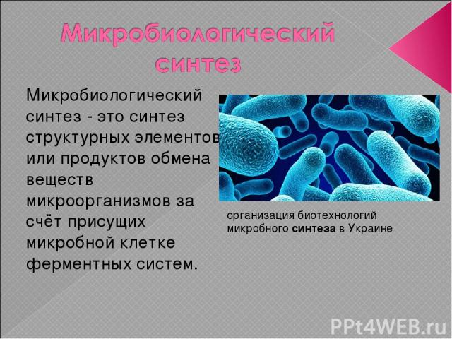 Микробиологический синтез - это синтез структурных элементов или продуктов обмена веществ микроорганизмов за счёт присущих микробной клетке ферментных систем. организация биотехнологий микробного синтеза в Украине