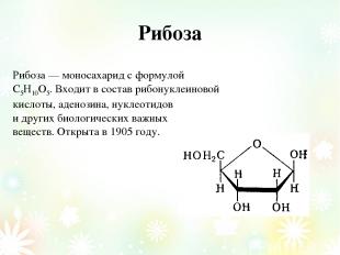Рибоза Рибоза — моносахарид с формулой С5Н10О5. Входит в состав рибонуклеиновой