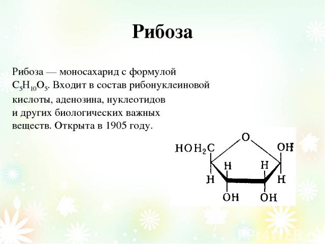 Рибоза Рибоза — моносахарид с формулой С5Н10О5. Входит в состав рибонуклеиновой кислоты, аденозина, нуклеотидов и других биологических важных веществ. Открыта в 1905 году.