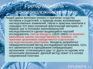 Грегор Мендель – основоположник генетики Людей давно волновал вопрос о причинах