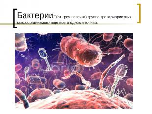 Бактерии-(от греч.палочка) группа прокариориотных микроорганизмов,чаще всего одн
