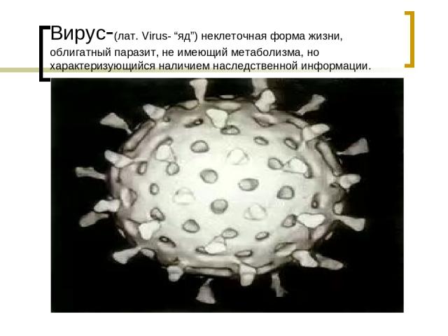 Вирус-(лат. Virus- “яд”) неклеточная форма жизни, облигатный паразит, не имеющий метаболизма, но характеризующийся наличием наследственной информации.