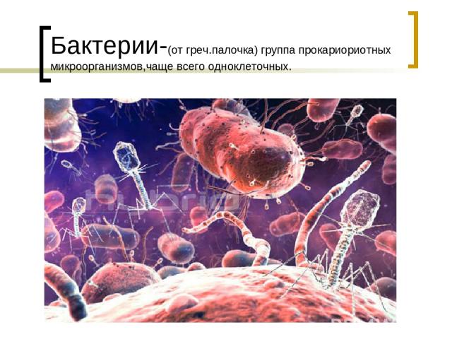 Бактерии-(от греч.палочка) группа прокариориотных микроорганизмов,чаще всего одноклеточных.