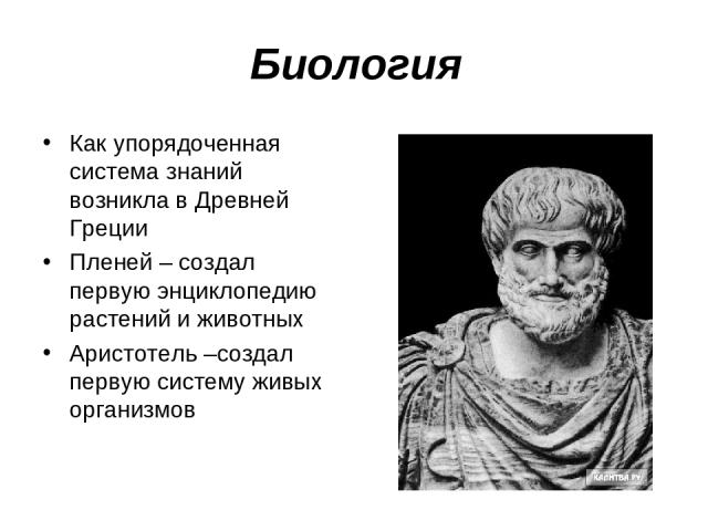 Биология в древней Греции. Биология в древней Греции кто создал. Сообщение о Аристотеле. Аристотель вектор.