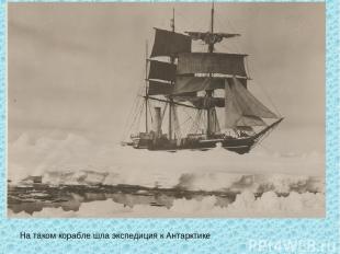 На таком корабле шла экспедиция к Антарктике