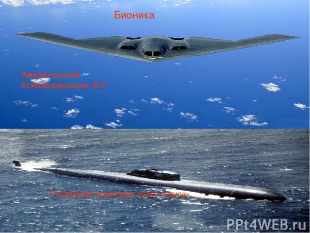 Бионика Американский бомбардировшик В-2 Российская подводная лодка «Акула» Бионика