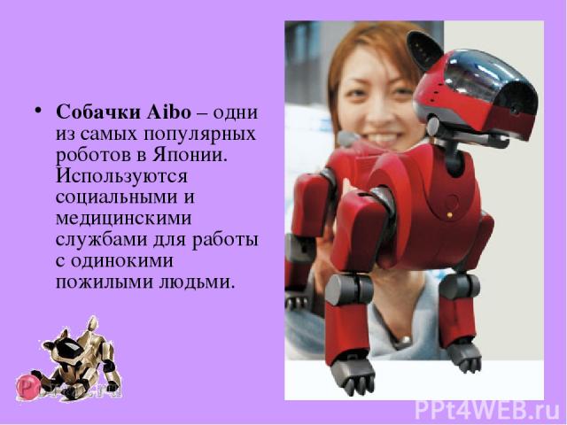 Собачки Aibo – одни из самых популярных роботов в Японии. Используются социальными и медицинскими службами для работы с одинокими пожилыми людьми.