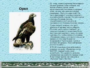 Орел До птиц, давнего времени были широко распространены такие поверья, как нель