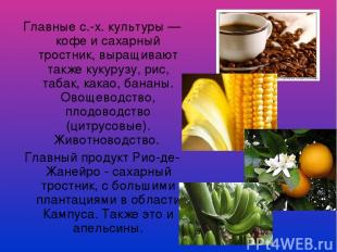 Главные с.-х. культуры — кофе и сахарный тростник, выращивают также кукурузу, ри