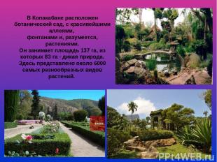 В Копакабане расположен ботанический сад, с красивейшими аллеями, фонтанами и, р