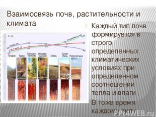 Взаимосвязь почв, растительности и климата Каждый тип почв формируется в строго