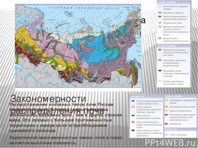 Закономерности распределения почв Распространение основных типов почв России показано на карте. В нашей стране широтная зональность выражена ярче , чем в других странах мира. Это связано с большой протяженностью территории с севере на юг и преоблада…