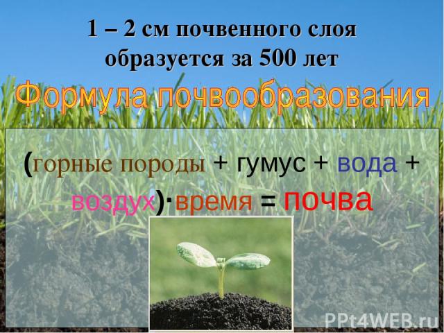 1 – 2 см почвенного слоя образуется за 500 лет (горные породы + гумус + вода + воздух)·время = почва