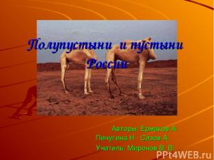 Полупустыни и пустыни России Авторы: Ермаков А. Пичугина Н. Сизов А. Учитель: Ми