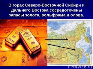 В горах Северо-Восточной Сибири и Дальнего Востока сосредоточены запасы золота,
