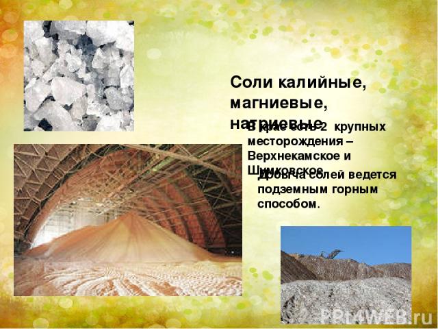 Соли калийные, магниевые, натриевые В крае есть 2 крупных месторождения – Верхнекамское и Шумковское Добыча солей ведется подземным горным способом.