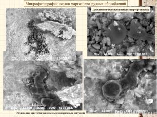 Микрофотографии сколов марганцево-рудных обособлений Проблематичные ископаемые м