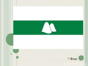 Геральдика Курганской области Флаг