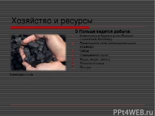 Хозяйство и ресурсы В Польше ведется добыча: Каменного и бурого угля (Верхне-Сил