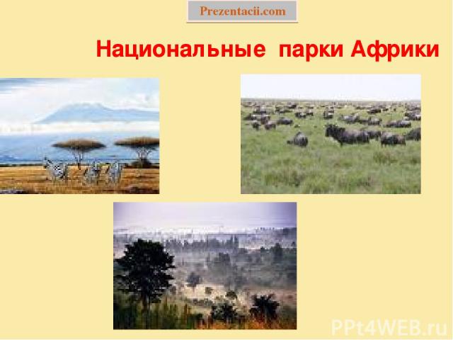 Национальные парки Африки Prezentacii.com