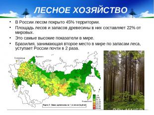 ЛЕСНОЕ ХОЗЯЙСТВО В России лесом покрыто 45% территории. Площадь лесов и запасов