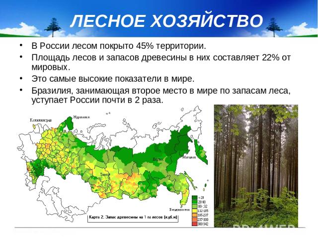 ЛЕСНОЕ ХОЗЯЙСТВО В России лесом покрыто 45% территории. Площадь лесов и запасов древесины в них составляет 22% от мировых. Это самые высокие показатели в мире. Бразилия, занимающая второе место в мире по запасам леса, уступает России почти в 2 раза.