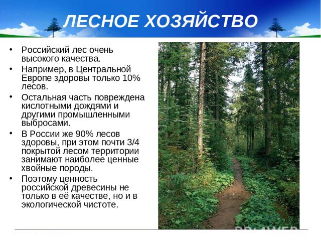 ЛЕСНОЕ ХОЗЯЙСТВО Российский лес очень высокого качества. Например, в Центральной Европе здоровы только 10% лесов. Остальная часть повреждена кислотными дождями и другими промышленными выбросами. В России же 90% лесов здоровы, при этом почти 3/4 покр…