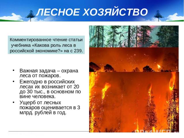 ЛЕСНОЕ ХОЗЯЙСТВО Важная задача – охрана леса от пожаров. Ежегодно в российских лесах их возникает от 20 до 30 тыс., в основном по вине человека. Ущерб от лесных пожаров оценивается в 3 млрд. рублей в год. Комментированное чтение статьи учебника «Как…