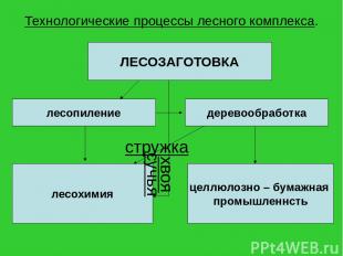 Технологические процессы лесного комплекса. ЛЕСОЗАГОТОВКА лесопиление деревообра