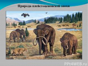 Природа плейстоценовской эпохи