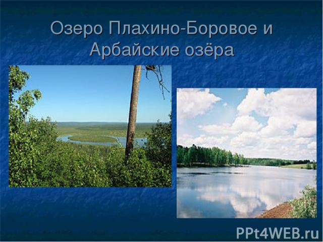 Озеро Плахино-Боровое и Арбайские озёра
