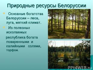 Природные ресурсы Белоруссии Основные богатства Белоруссии – леса, луга, мягкий