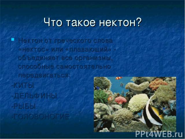 Жизнь в океане 7 класс география презентация
