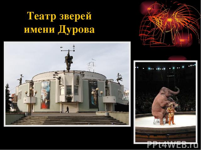 Театр зверей имени Дурова