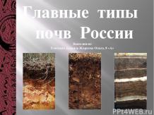 Главные типы почв России (8 класс)