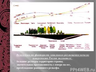 Важнейшими факторами зонального размещения почв по поверхности России являются: