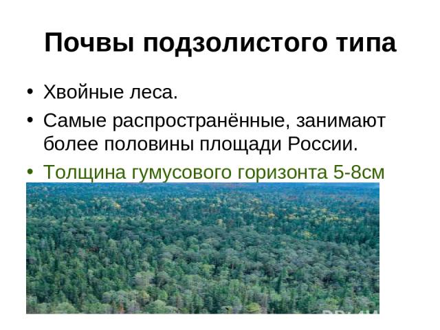 Почвы подзолистого типа Хвойные леса. Самые распространённые, занимают более половины площади России. Толщина гумусового горизонта 5-8см