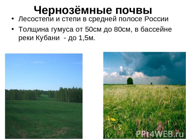 Чернозёмные почвы Лесостепи и степи в средней полосе России Толщина гумуса от 50см до 80см, в бассейне реки Кубани - до 1,5м.