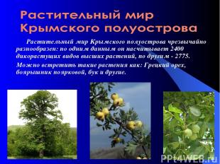 Растительный мир Крымского полуострова чрезвычайно разнообразен: по одним данным